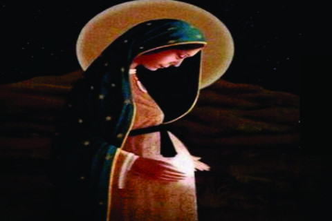 Novena de Natal 2025: acolher Jesus, o Deus da Vida